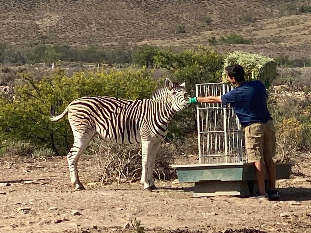 Aardvark Bioreserve Ladismith Eksteriør bilde
